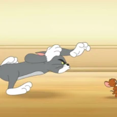 Tom Ve Jerry Kovalamaca Oyunu